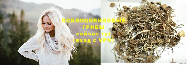 гашик Арсеньев