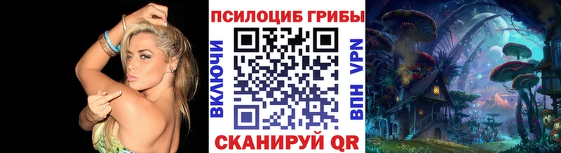 Псилоцибиновые грибы ЛСД  блэк спрут как войти  Ревда 