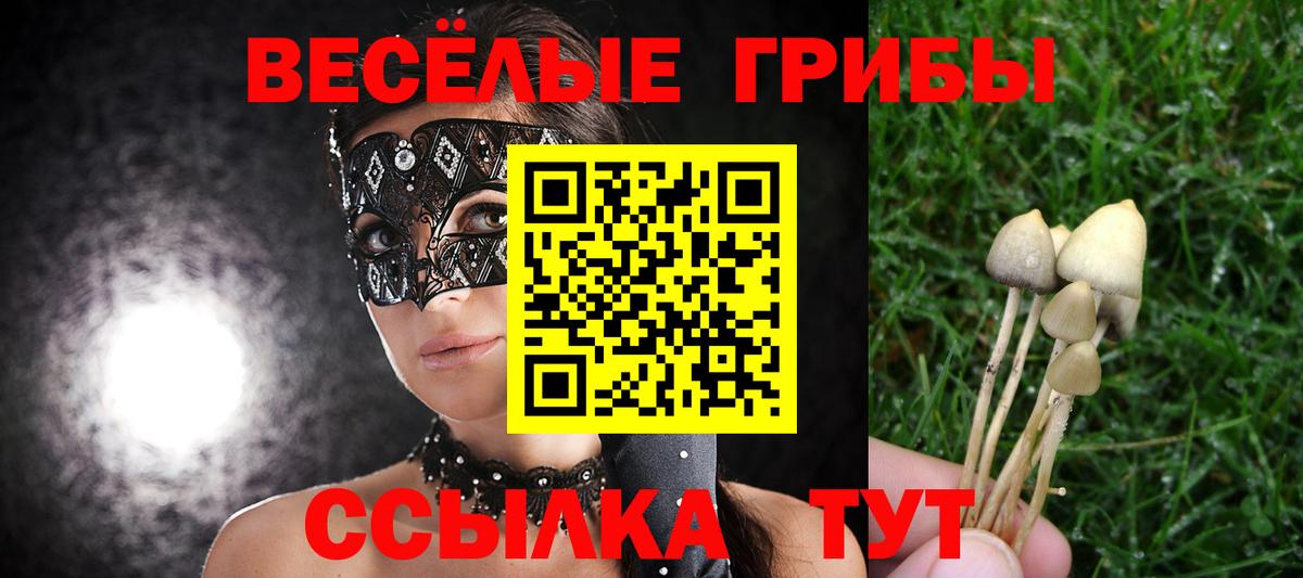 Псилоцибиновые грибы Psilocybine cubensis Ревда